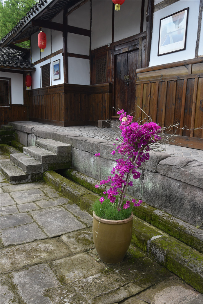 DSC_1502.jpg