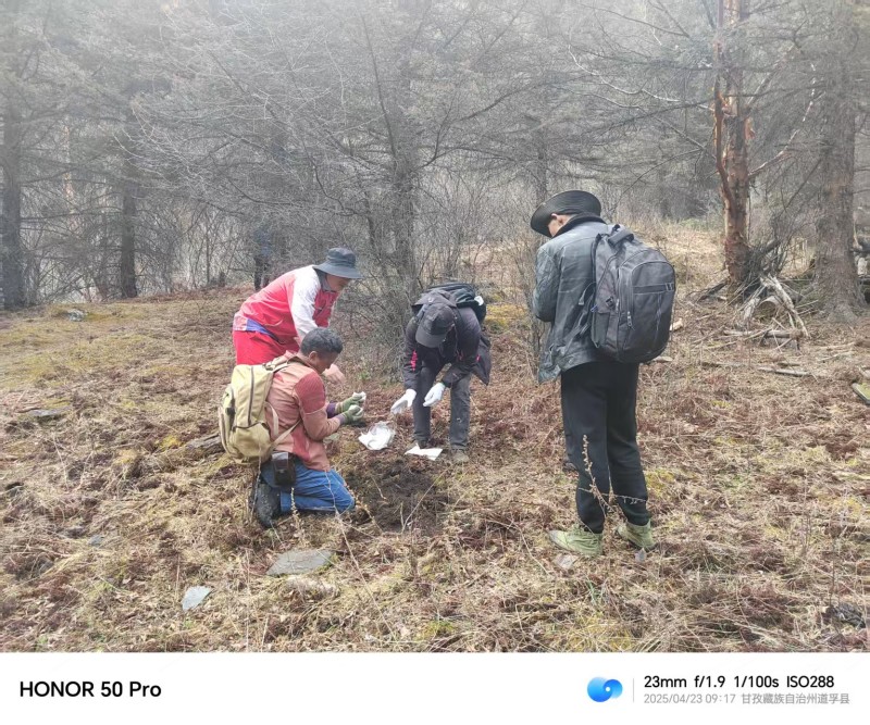 【四川省甘孜州】地调所容须卡南锂矿勘查项目.jpg