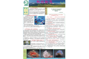 2019科技动态第5期